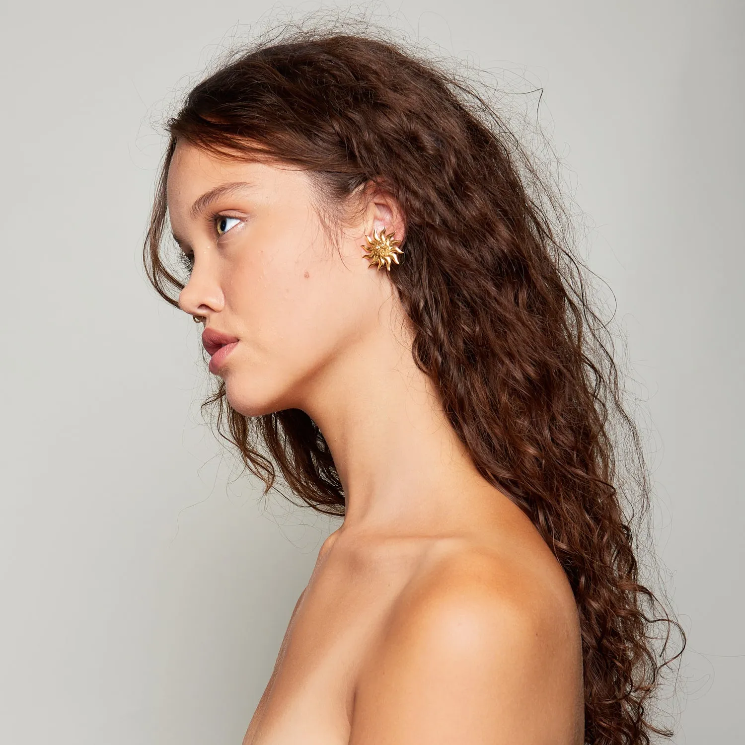 Aurora Diamond Earrings