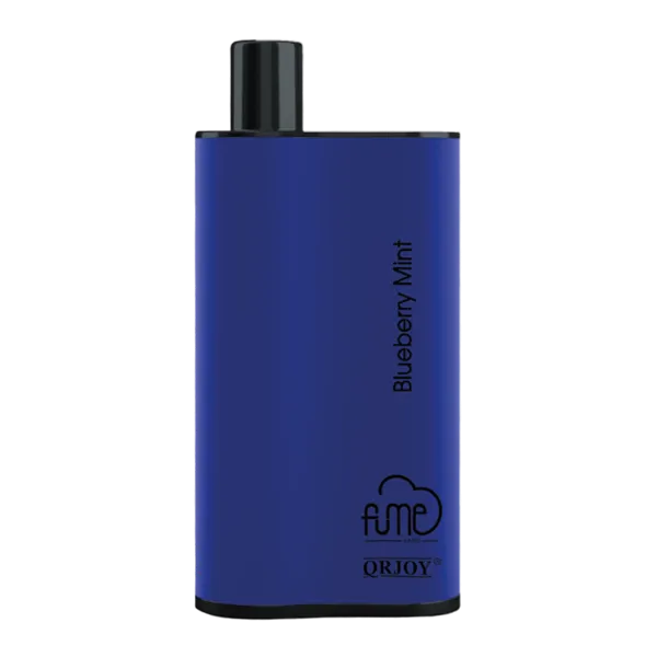 Blueberry Mint Fume Infinity