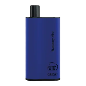 Blueberry Mint Fume Infinity